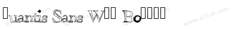 Quantis Sans W05 Bo字体转换